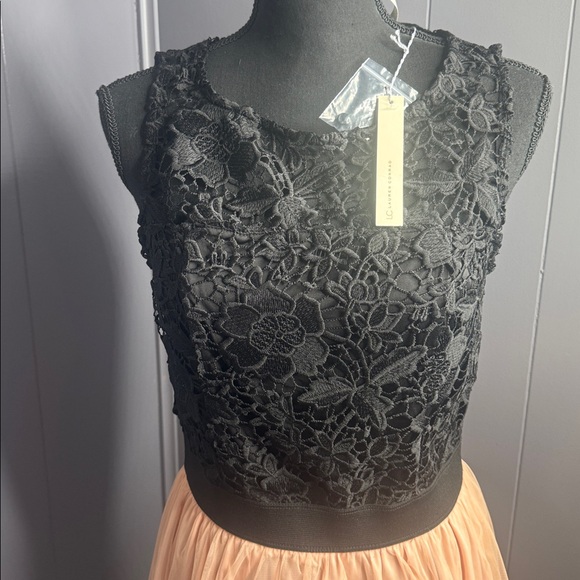 Lauren Conrad snow globe lace and tulle dress - Picture 2 of 6